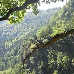 Le Tokay Appartamento Ribeauvillé