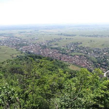 Le Tokay Lägenhet *