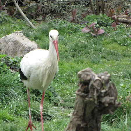 Lägenhet Le Tokay *