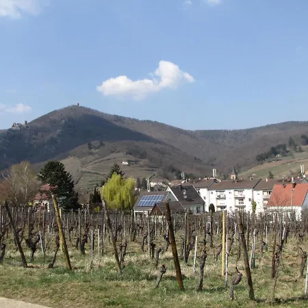 Le Tokay Ribeauville (Haut-Rhin)