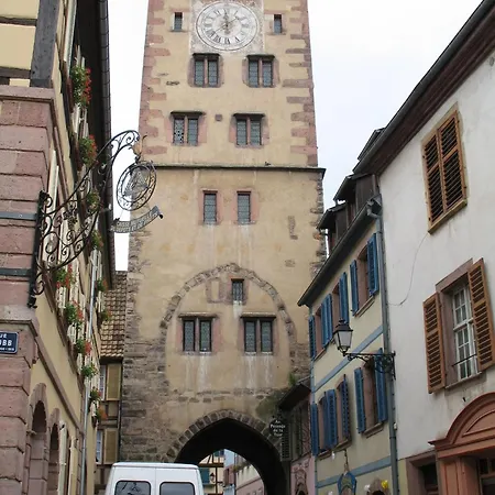 Le Tokay Lägenhet Ribeauvillé