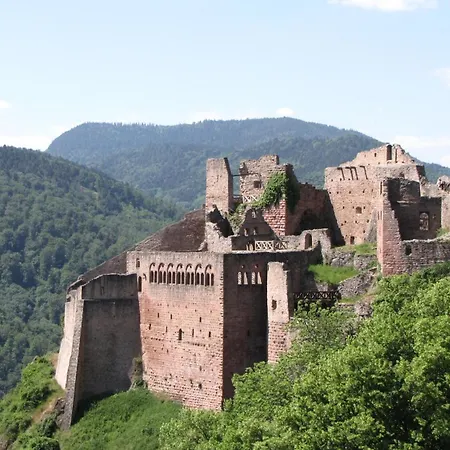 Le Tokay Lägenhet Ribeauvillé