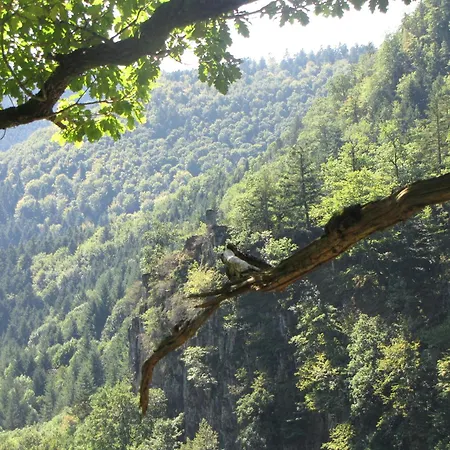 Le Tokay Appartamento Ribeauvillé