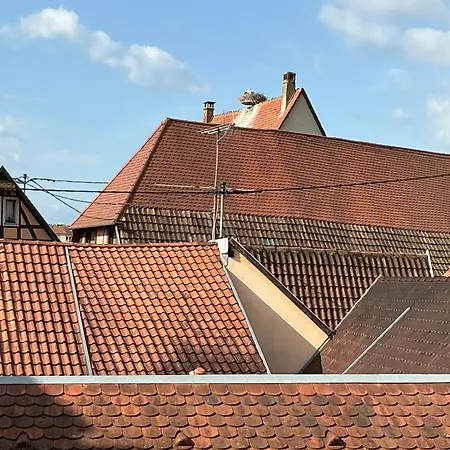 Appartement Le Tokay Ribeauvillé