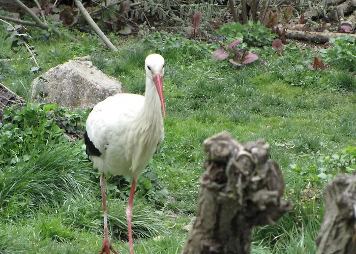 Appartement Le Tokay *